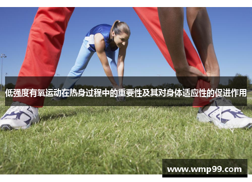 低强度有氧运动在热身过程中的重要性及其对身体适应性的促进作用