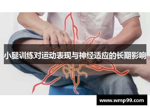 小腿训练对运动表现与神经适应的长期影响